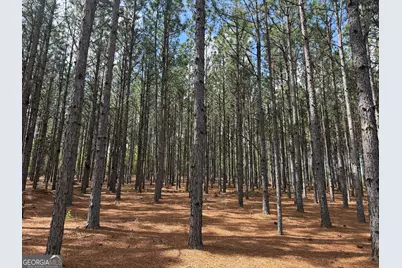 09 Barge Rd, Lumpkin, GA 31815 - Photo 1