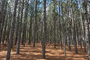 09 Barge Rd, Lumpkin, GA 31815 - Photo 1
