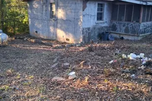 144 Short Jay St, Woodbury, GA 30293 - Photo 3