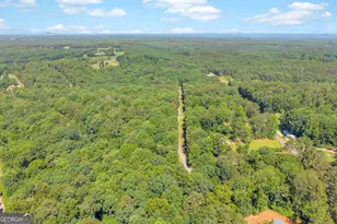 114 Lake Harbor Trail, Martin, GA 30557 - Photo 43