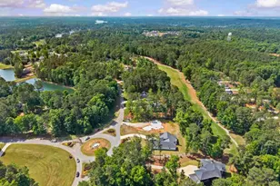 1701 Osprey Poynte, Greensboro, GA 30642 - Photo 3