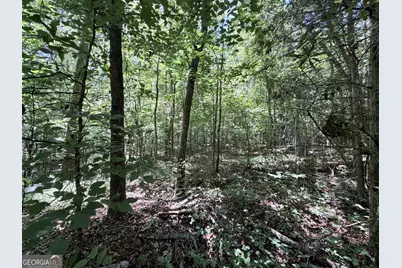256 W Kellogg Drive, Colbert, GA 30628 - Photo 9
