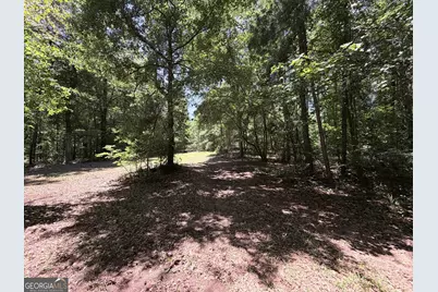 256 W Kellogg Drive, Colbert, GA 30628 - Photo 3