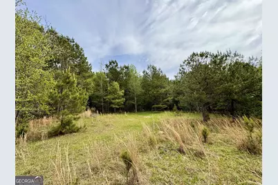 1 Roy Lawrence Road, Sparta, GA 31087 - Photo 13