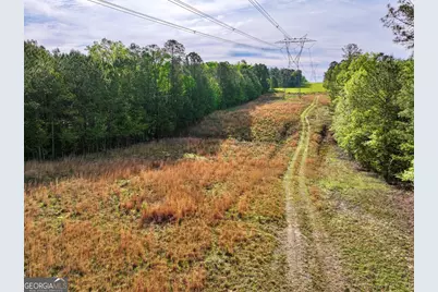1 Roy Lawrence Road, Sparta, GA 31087 - Photo 19