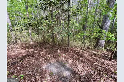 1 Roy Lawrence Road, Sparta, GA 31087 - Photo 9