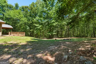 394 Brandish Drive, Newnan, GA 30263 - Photo 45