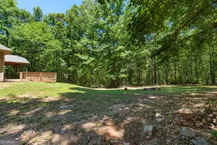394 Brandish Dr, Newnan, GA 30263 - Photo 45