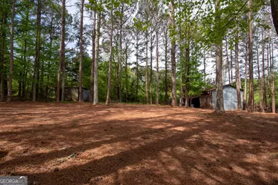 598 Beavers Rd, Grantville, GA 30220 - Photo 41