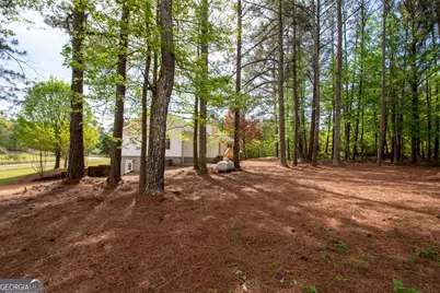 598 Beavers Rd, Grantville, GA 30220 - Photo 43
