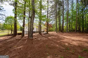 598 Beavers Rd, Grantville, GA 30220 - Photo 43