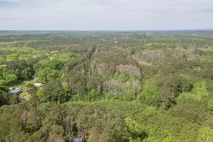 598 Beavers Rd, Grantville, GA 30220 - Photo 55