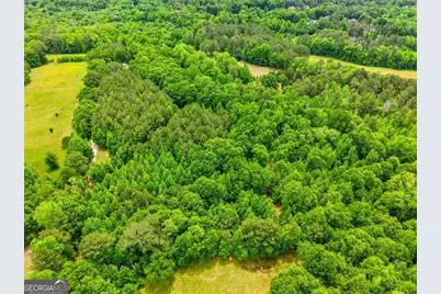 Tract 5 McNutt Creek Road, Bogart, GA 30622 - Photo 3