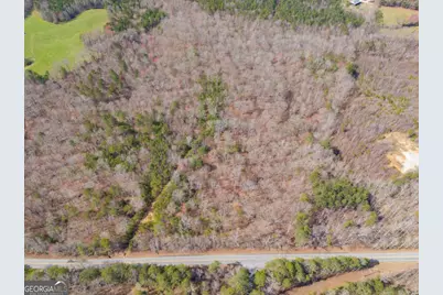 Tract2 Georgia Highway 100, Buchanan, GA 30113 - Photo 5