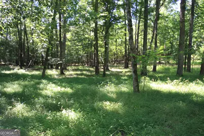 0 McGee Bend Road, Rome, GA 30165 - Photo 29