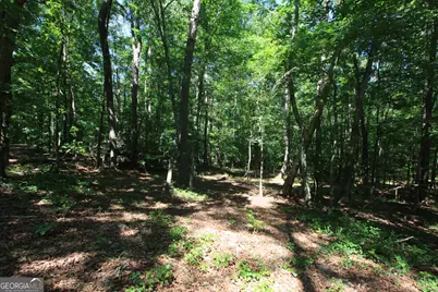 0 McGee Bend Road, Rome, GA 30165 - Photo 5