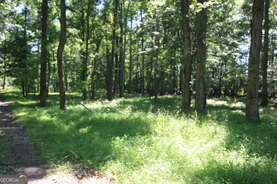 0 McGee Bend Road, Rome, GA 30165 - Photo 13
