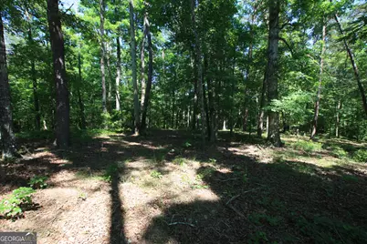 0 McGee Bend Road, Rome, GA 30165 - Photo 3
