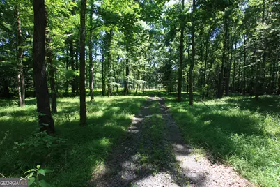 0 McGee Bend Road, Rome, GA 30165 - Photo 15