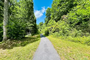 1815 Canoe Creek Dr, Hiawassee, GA 30546 - Photo 41