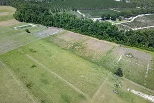 3690 Hwy 121 N, Blackshear, GA 31516 - Photo 9