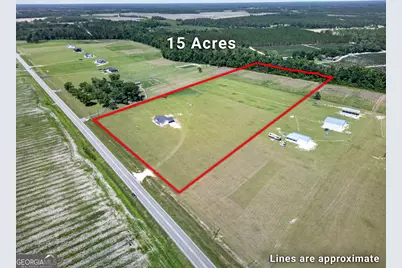 3690 Hwy 121 N, Blackshear, GA 31516 - Photo 13