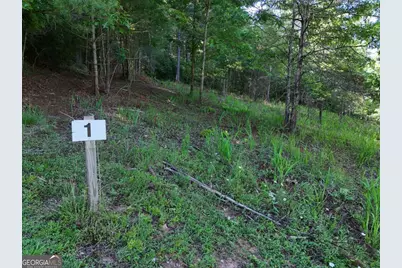 Lot 1 Big Knoll Drive #1, Blairsville, GA 30512 - Photo 3