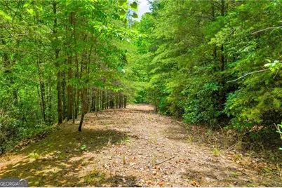 98 Sharp Mountain Parkway, Jasper, GA 30143 - Photo 17