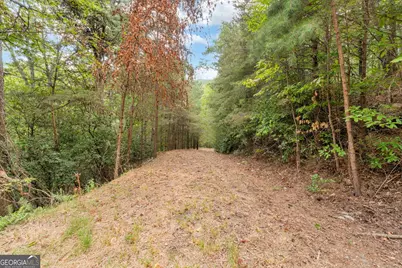 98 Sharp Mountain Parkway, Jasper, GA 30143 - Photo 13
