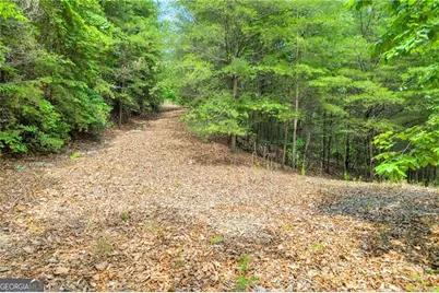 98 Sharp Mountain Parkway, Jasper, GA 30143 - Photo 19