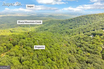 98 Sharp Mountain Parkway, Jasper, GA 30143 - Photo 3
