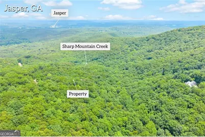 98 Sharp Mountain Parkway, Jasper, GA 30143 - Photo 3