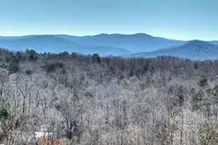 195 Trina Lane, Blue Ridge, GA 30513 - Photo 29