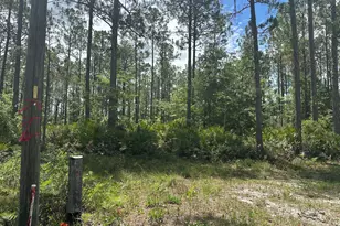 57 Lakeview Dr, Folkston, GA 31537 - Photo 1