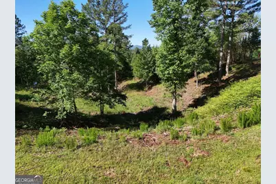 Lot 2 Big Knoll Drive #2, Blairsville, GA 30512 - Photo 5