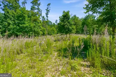 0 Williams Road SE, Silver Creek, GA 30173 - Photo 33