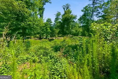 0 Williams Road SE, Silver Creek, GA 30173 - Photo 29