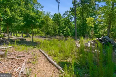 0 Williams Road SE, Silver Creek, GA 30173 - Photo 35