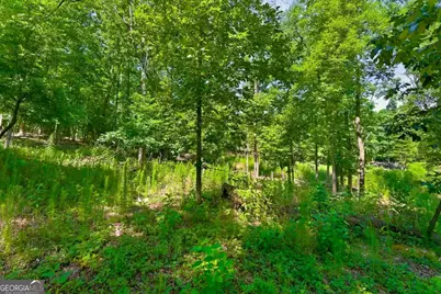 0 Williams Road SE, Silver Creek, GA 30173 - Photo 19