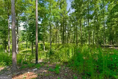 0 Williams Road SE, Silver Creek, GA 30173 - Photo 21