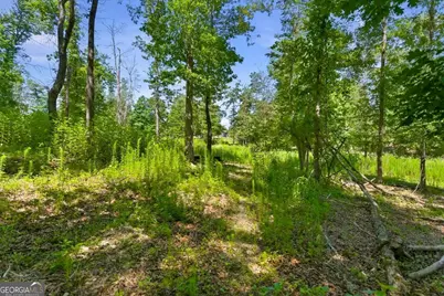 0 Williams Road SE, Silver Creek, GA 30173 - Photo 25