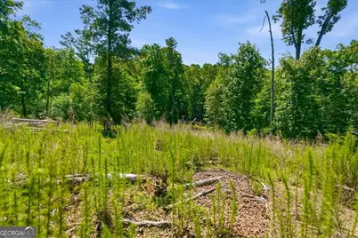 0 Williams Road SE, Silver Creek, GA 30173 - Photo 13