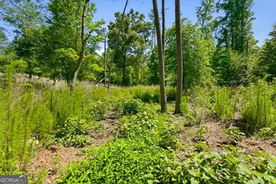 0 Williams Road SE, Silver Creek, GA 30173 - Photo 27