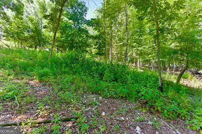 0 Williams Road SE, Silver Creek, GA 30173 - Photo 17