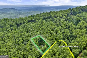 549 Sleepy Hollow Rd, Ellijay, GA 30536 - Photo 9