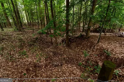 1260 Old Kincaid Road, Colbert, GA 30628 - Photo 37