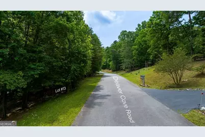 Lot 13 Deaver Cove Road, Blairsville, GA 30512 - Photo 9