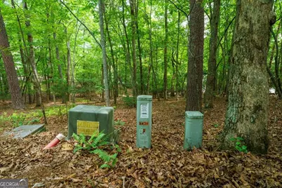 Lot 13 Deaver Cove Road, Blairsville, GA 30512 - Photo 11