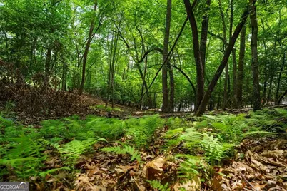 Lot 13 Deaver Cove Road, Blairsville, GA 30512 - Photo 7