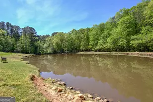404 Tranquil Cemetary Rd, Senoia, GA 30276 - Photo 47